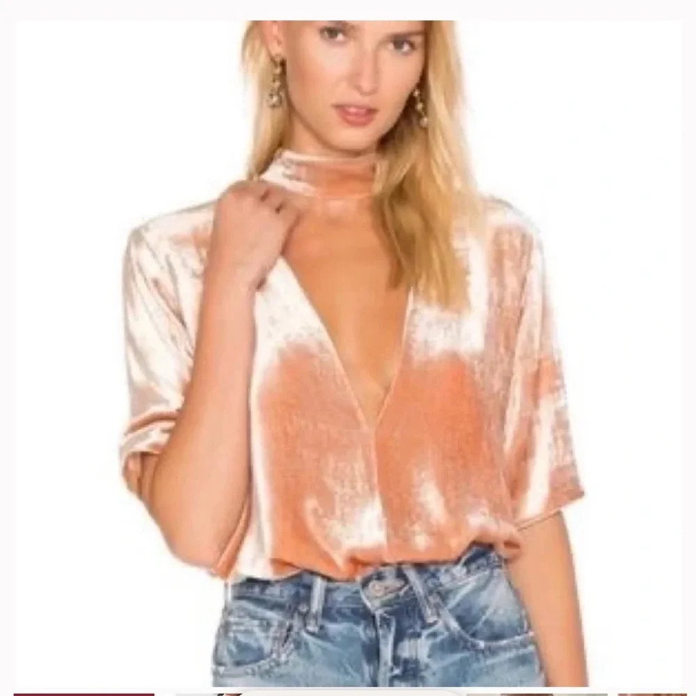 ! A.L.C. Blaise Velvet Choker V Neck Top - Size 10